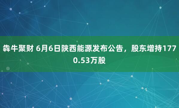 犇牛聚财 6月6日陕西能源发布公告，股东增持1770.53万股
