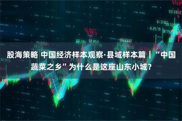 股海策略 中国经济样本观察·县域样本篇｜“中国蔬菜之乡”为什么是这座山东小城？
