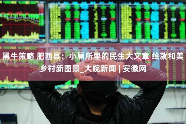 黑牛策略 肥西县：小厕所里的民生大文章 绘就和美乡村新图景_大皖新闻 | 安徽网