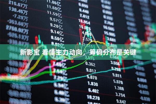 新影宝 看懂主力动向，筹码分布是关键