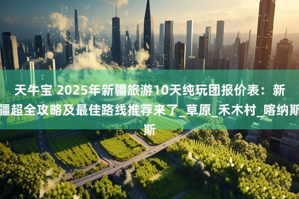 天牛宝 2025年新疆旅游10天纯玩团报价表：新疆超全攻略及最佳路线推荐来了_草原_禾木村_喀纳斯