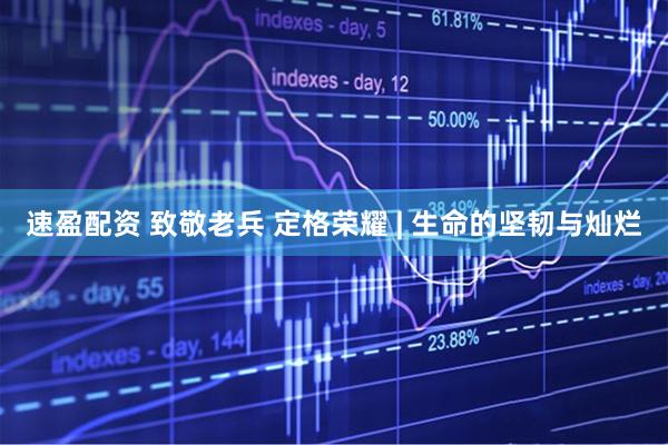速盈配资 致敬老兵 定格荣耀 | 生命的坚韧与灿烂