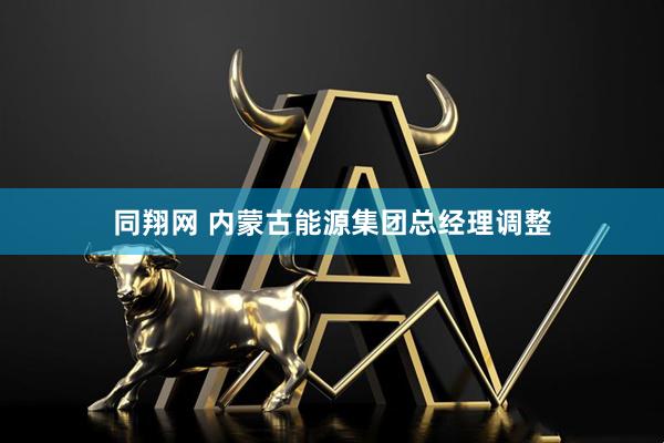同翔网 内蒙古能源集团总经理调整